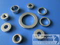 NdFeB, Ni,Zn coated,permanent magnet,ring shape,custom made