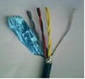 RS485 communication cable