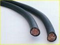 Crane cable 1