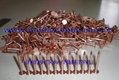 common wire nail,roofing nail, concrete nail, steel nail, coil nail, coil roofin 5