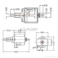 Perm machine piston pump Low pressure for Coffee Maker  3