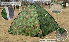 Popular tents camping