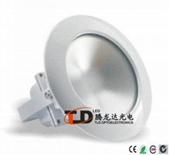 10W COB Bridgelux LED Flood Light 