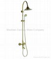 Golden Color Plated Wall Shower Mixer 1