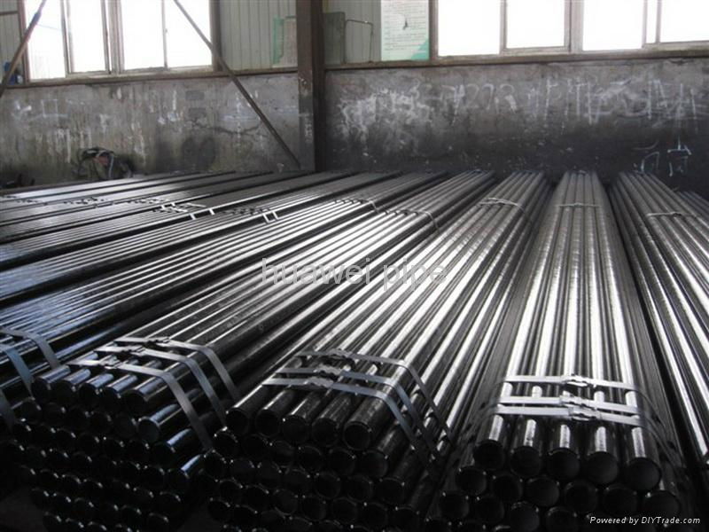 2.Carbon Steel Seamless Tube/Pipe