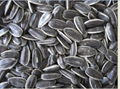 sunflower seeds  1