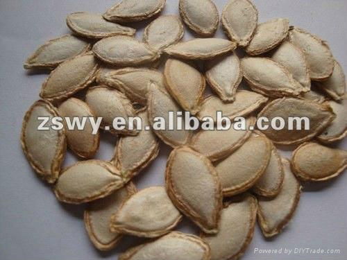 pumpkin seeds