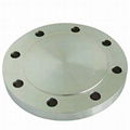 cs ss blind flange