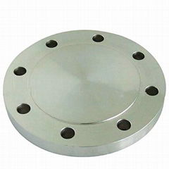 cs ss blind flange