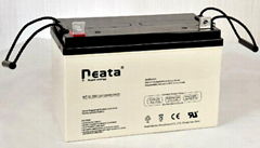 UPS Lead Acid Battery 12V100ah (ISO, CE, UL, RoHS)