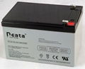 Battery 12V-12ah (ISO, CE, UL, RoHS) (NT12V12ah)