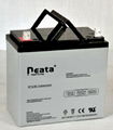 UPS Lead Acid Battery 12V-50ah (ISO, CE,