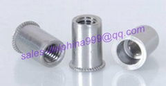 Reduced head round body stainless steel rivet nut in fasterners