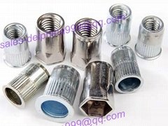 Varies kinds of rivet nut in hardware with best quality