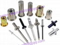 Varies kinds of rivet nut in hardware with best quality 2