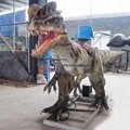 Ride Dinosaur Indoor &Outdoor Amusement