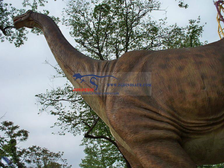 Outdoor Playground Model Life Size Fiberglass Dinosaur  4