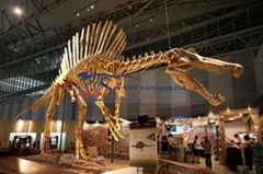Life Size Museum Model Dinosaur Skeleton 