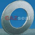 Reinforced Graphite Gasket 1