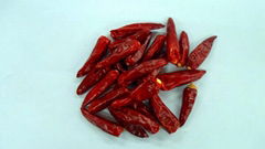 High Quality Red Chilli