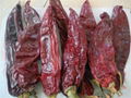 High Quality Red Paprika Price 3