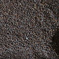 High Quality Black pepper Price 5