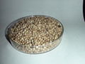 High Quality White pepper Price