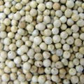 High Quality White pepper Price