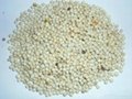 High Quality White pepper Price 3