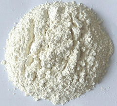 High Quality White Garlic Powder Price