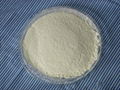 High Quality White Garlic Powder Price 2