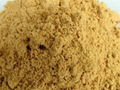 High Quality Ginger Powder Price 2