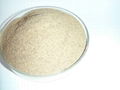 High Quality White pepper Powder Price