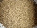 High Quality Cumin seeds Price 4