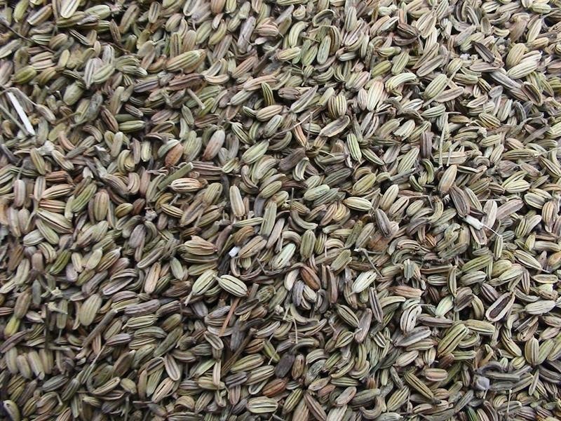High Quality Fennel Seeds Price 1