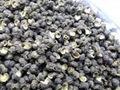 High Quality Wild pepper Price 2