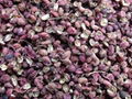 High Quality Wild pepper Price 3