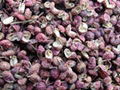 High Quality Wild pepper Price 4