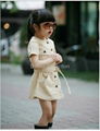 Light Brown Trenchcoat Dress 2