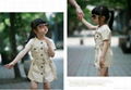 Light Brown Trenchcoat Dress 4