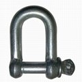 G210 Us Type Screw PIN Chain Shackle 5