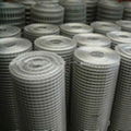 Galvanized welded wire mesh