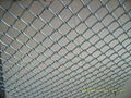 chain link fence 2