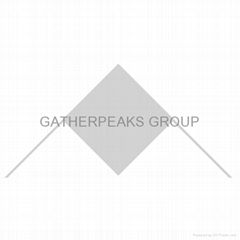 GATHERPEAKS brand spark plugs