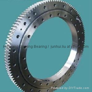 Packing Machinery Slewing Bearing 012.25.0560 