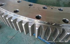 80T Truck Crane Slewing Bearing 011.50.1800 