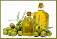 Extra Virgin Olive Oil