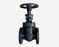 cast iron gate valve rising stem 1