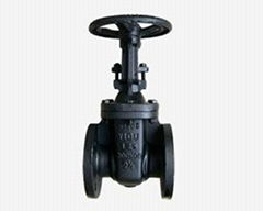 cast iron gate valve rising stem