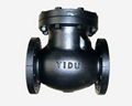 cast iron swing check valve